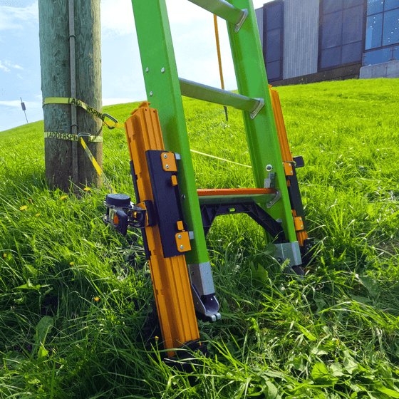 Stable ladder on grass